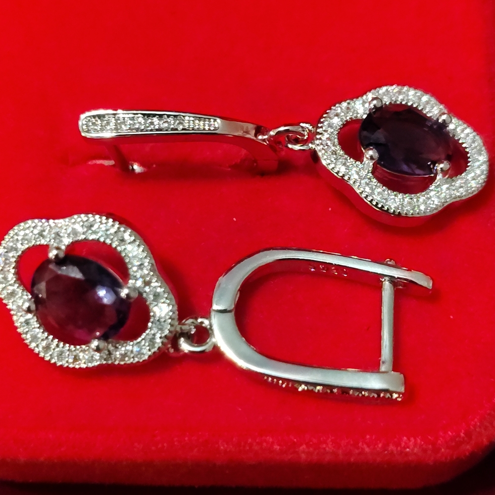 .5 Ct Encrusted Moissanite With Encased Tanzanite Earrings